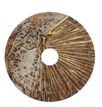 Vallist amenity icon